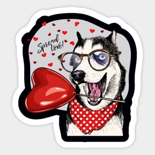siberian husky spread love Sticker